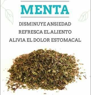 MENTA