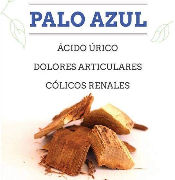 PALO AZUL