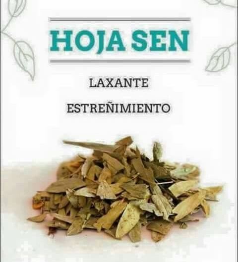 HOJAS DE SEN